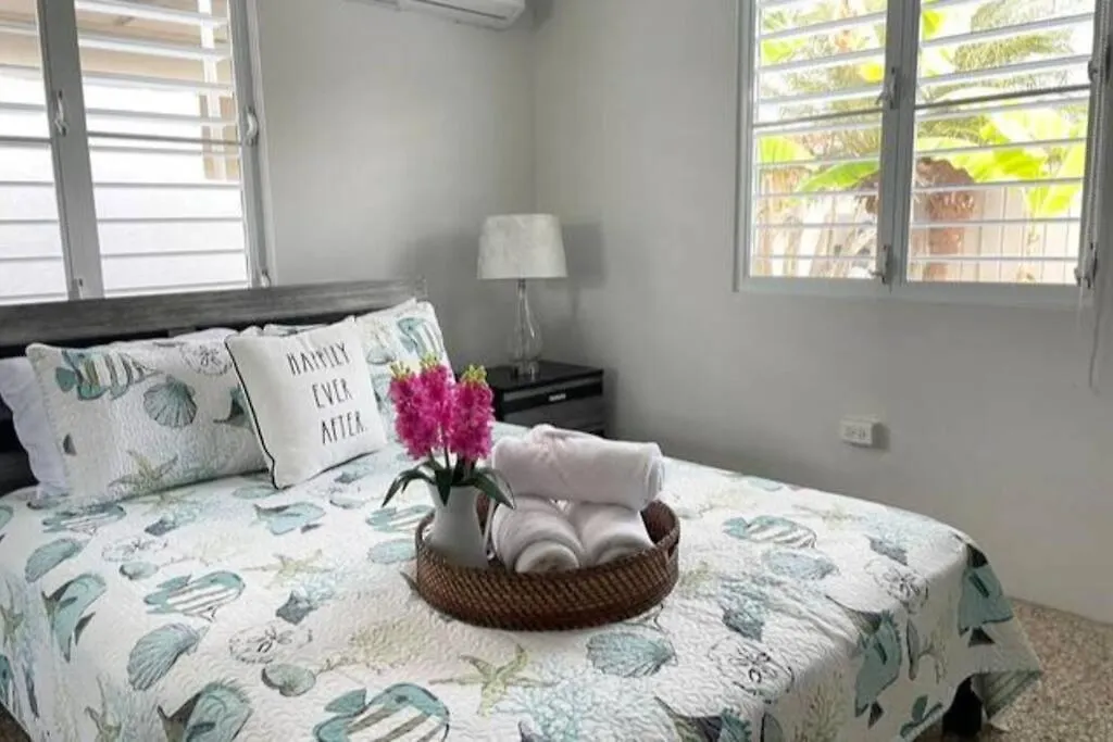 Nela'S Beach House Arecibo